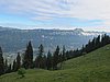 IMG_1719.JPG
