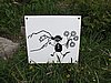 IMG_1730.JPG