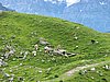 IMG_1734.JPG