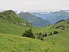 IMG_1746.JPG