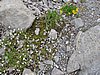 IMG_1756.JPG
