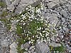 IMG_1757.JPG