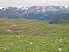 IMG_1784.JPG