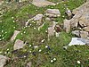 IMG_1787.JPG