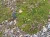 IMG_1796.JPG