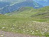 IMG_1797.JPG