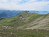 IMG_1825.JPG
