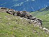 IMG_1826.JPG