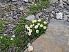 IMG_1828.JPG