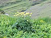 IMG_1855.JPG