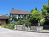 IMG_1981.JPG