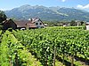 IMG_1983.JPG