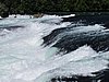 IMG_2019.JPG