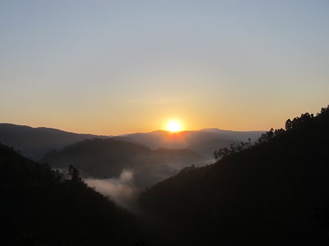 IMG_2964.JPG