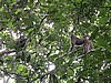 IMG_2379.JPG