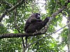 IMG_2380.JPG