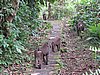IMG_2383.JPG