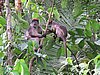 IMG_2395.JPG