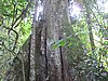 IMG_2410.JPG