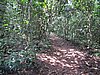 IMG_2411.JPG