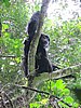 IMG_2420.JPG
