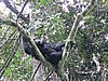 IMG_2425.JPG