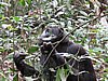 IMG_2442.JPG