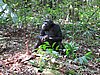 IMG_2455.JPG