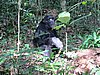 IMG_2461.JPG