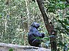 IMG_2468.JPG