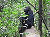 IMG_2478.JPG