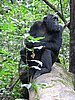 IMG_2480.JPG
