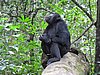 IMG_2483.JPG
