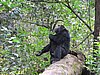 IMG_2485.JPG