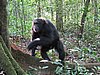 IMG_2489.JPG