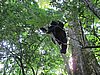 IMG_2490.JPG