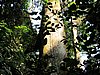 IMG_2491.JPG
