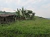 IMG_2513.JPG