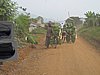 IMG_2527.JPG