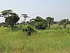 IMG_2552.JPG