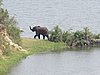 IMG_2559.JPG