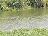 IMG_2563.JPG