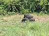IMG_2564.JPG