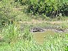 IMG_2566.JPG