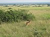 IMG_2574.JPG