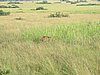 IMG_2575.JPG