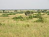 IMG_2595.JPG