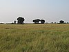 IMG_2599.JPG
