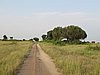 IMG_2601.JPG
