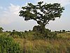 IMG_2602.JPG